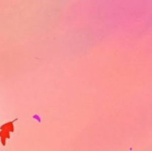 Meet your Posher, Isabella